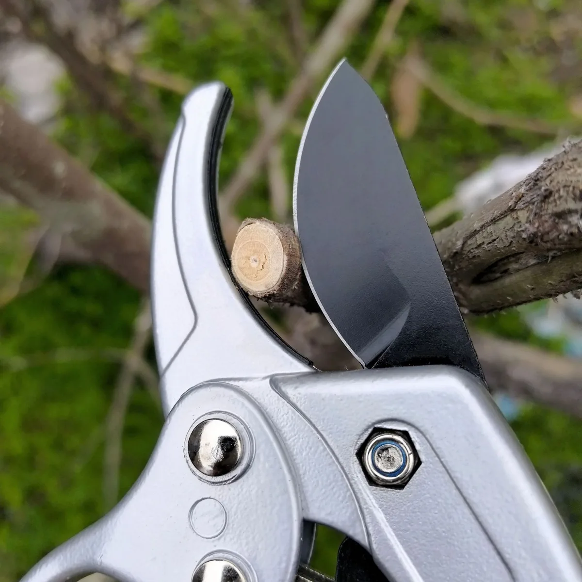 Garden Pruning Shears-Ergonomic Segmented Design for Flower Branch Trimming Fruit Tree Limb Pruning Must-Have Tool for Floral image 4