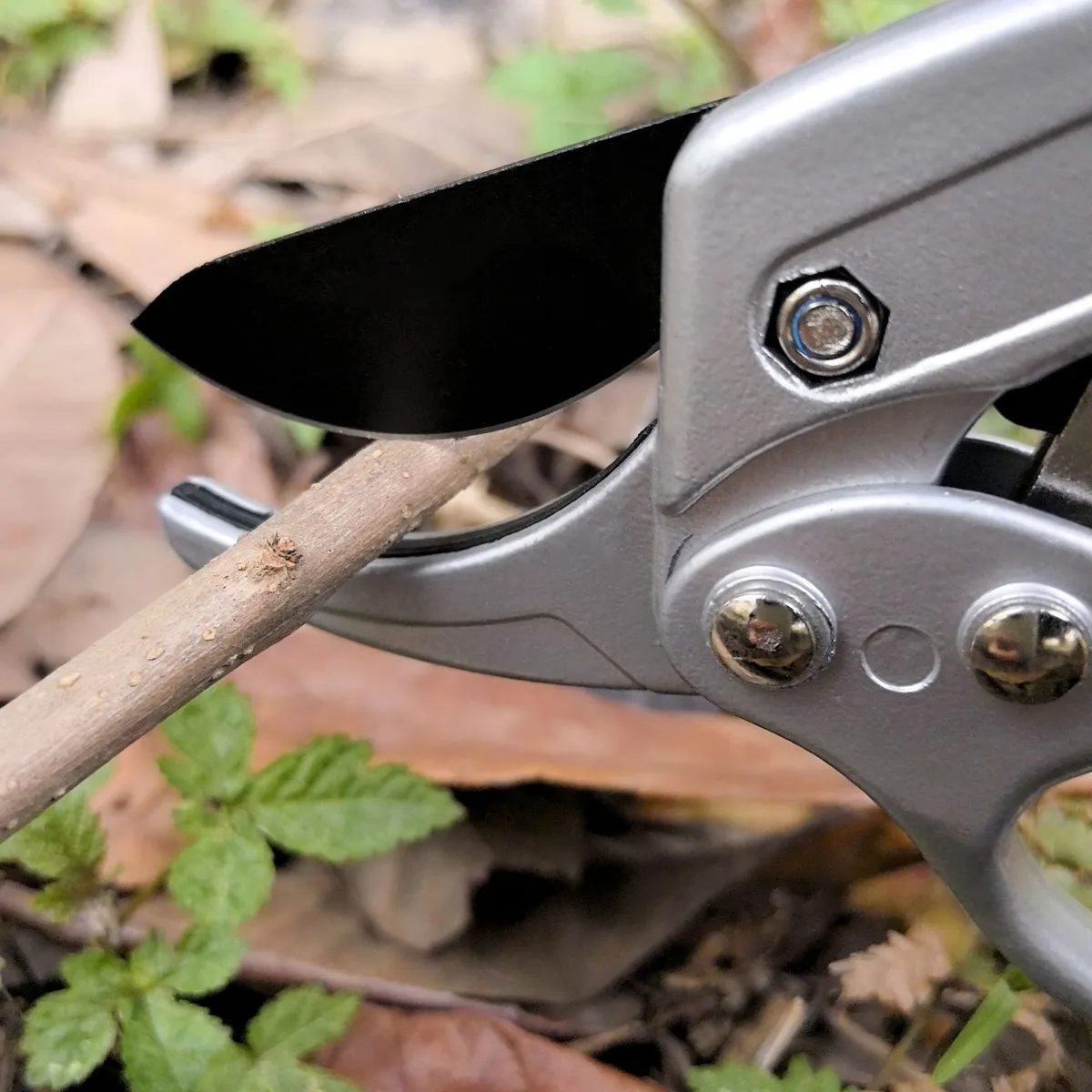 Garden Pruning Shears-Ergonomic Segmented Design for Flower Branch Trimming Fruit Tree Limb Pruning Must-Have Tool for Floral image 5