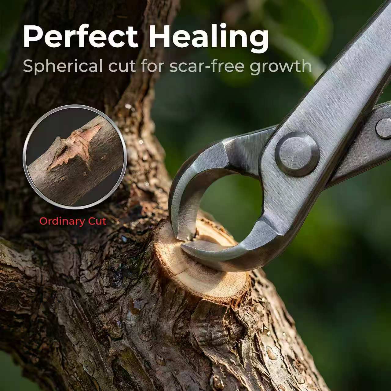 Wholesale Stainless Steel Bonsai Pruning Shears & Concave Cutter Scissors for Garden Trees 1/4 in Customizable ODM/OEM image 5
